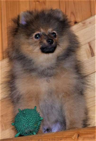 Очаровашка в Одинцово фото 8