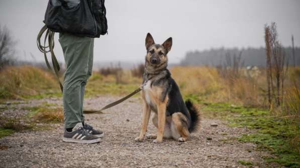 Потешная Рони в Москве фото 11