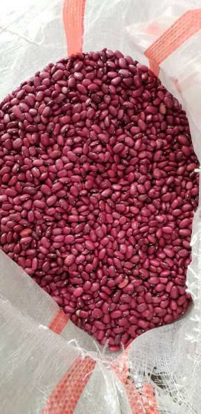 2018 New Crop 100% Natural Beans from Kyrgyzstan в фото 18