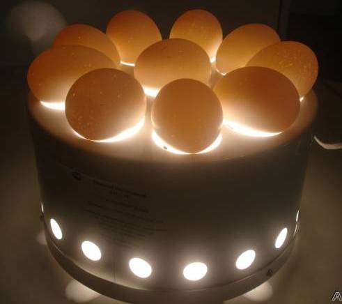 ✔ ✔ ✔ Овоскоп для проверки яиц на 6/4/10 яиц ✔ ✔ ✔ в Астрахани фото 9