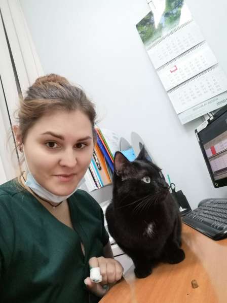Ветеринарный врач дерматолог в Ясенево