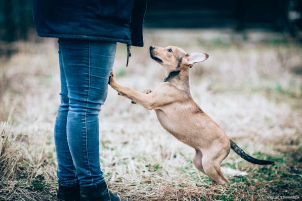 Великолепная Четверка в дар в Москве фото 23