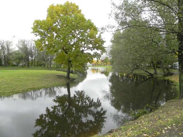 1к. квартира на Дачном пр-кте 3 в Санкт-Петербурге фото 19