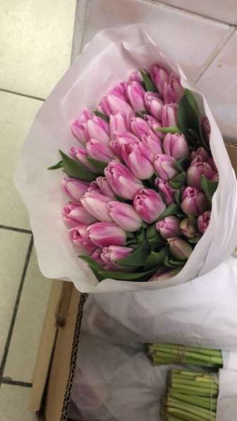 Тюльпаны к празднику 8 Марта! в Красноярске фото 4