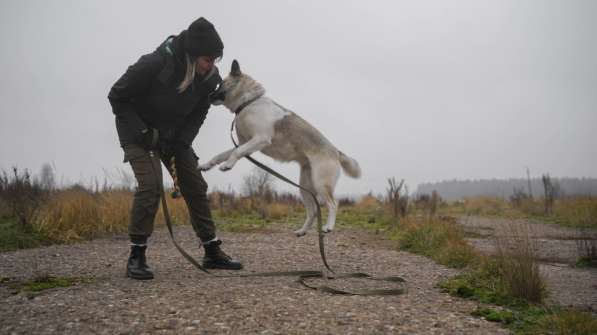 Суперактивная Халва в Москве фото 49
