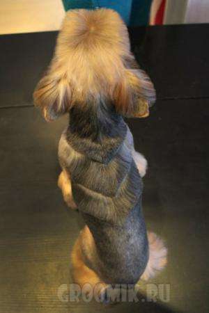 Стрижка собак и кошек в Москве фото 5