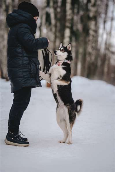 Супер-собака Урса в добрые руки! в Москве фото 12