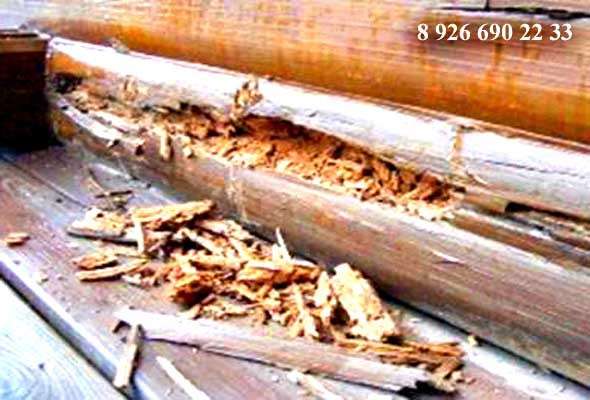 Заменить гнилые бревна в деревянном доме