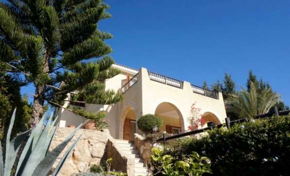 Бунгало в районе Пафоса-Кипр в Москве фото 121