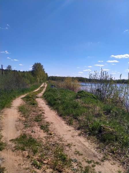 Платная рыбалка в Москве фото 4