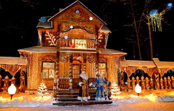 Новогодний тур к Деду морозу в Беловежскую пущу на АВТОБУСЕ в фото 3