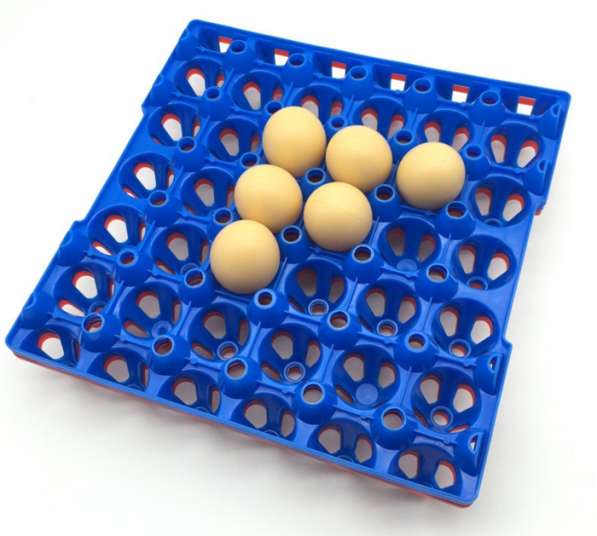 ✔ ✔ ✔Лотки для яиц инкубатор лоток курица утка фазан индейка в Астрахани фото 9
