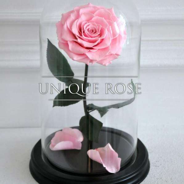 Купить сказочные Розы в колбе в Саранске фото 8