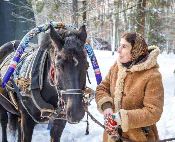 Конные прогулки на санях в Мытищи фото 7