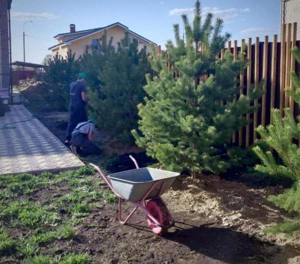Живое Дерево - Проверенные решения для озеленения
