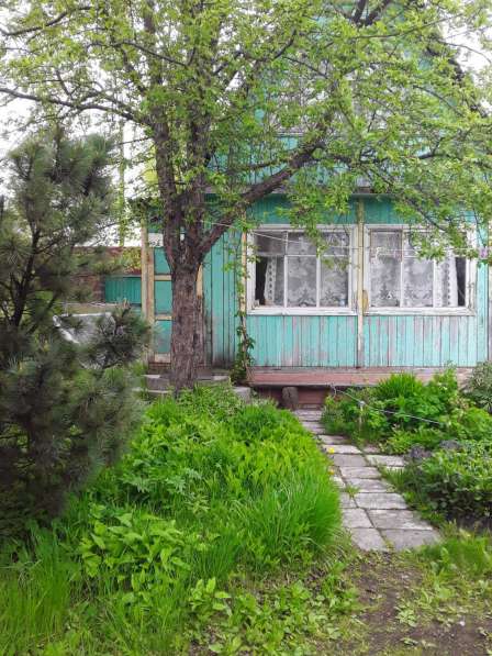 Сдается,Продается(садовый) участок на Камчатке,со Строениями в Санкт-Петербурге фото 4