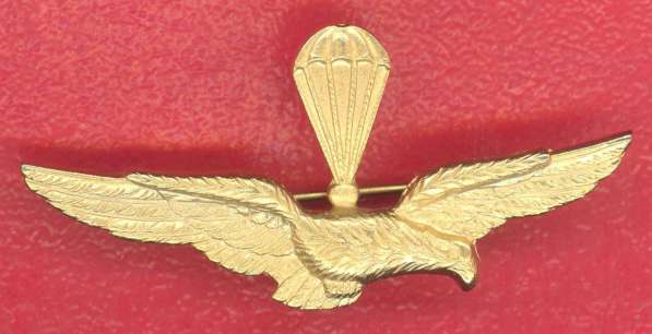 Италия знак Пилот десантного самолета ВВС 22х46 мм