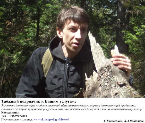 Таёжный подрядчик к Вашим услугам в Томске фото 3