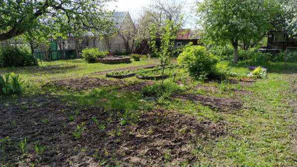 Продам дачу в Ижевске в Ижевске фото 29