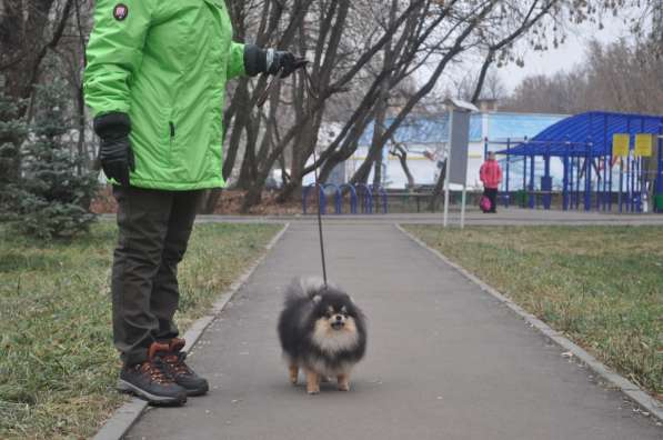 Сен Лоран С Рублевки в Москве фото 3