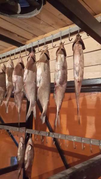 Рыбный цех г. Шахты реализует вяленую рыбу оптои и в розницу