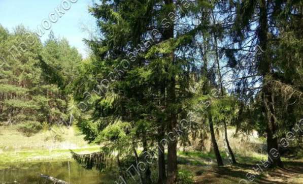 realty_mapper3.plot_in_locationСадовое некоммерческое тов-во. Площадь 15.00 сот.Есть Электричество. в Москве фото 19