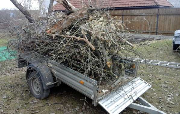 Вывоз мусора. Грузоперевозки в Дубне фото 3