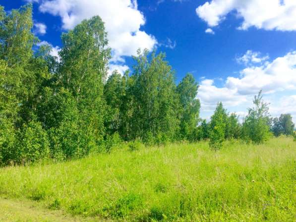 Продам живописный участок к лесу в Красноярске фото 5
