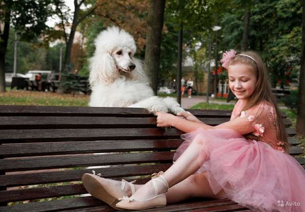 Новогодняя и Рождественская фотосессия с реквизитом в Москве фото 12