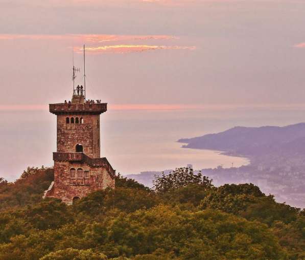 Новый Год в СОЧИ! в Ставрополе фото 5