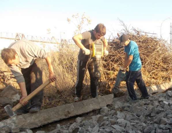 Спиливание деревьев, земляные работы, демонтаж, заборы в Воронеже фото 5