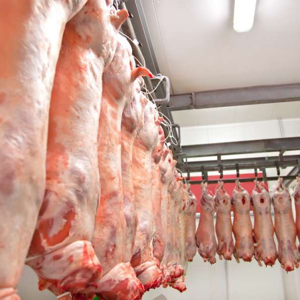 Производство мяса в ассортименте, продажа оптом в Пушкино фото 6