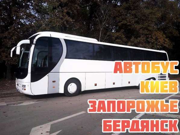 Автобус Киев Бердянск в фото 8