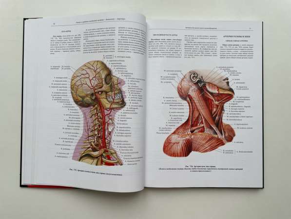 Атлас анатомии человека Синельников в Кирове фото 8