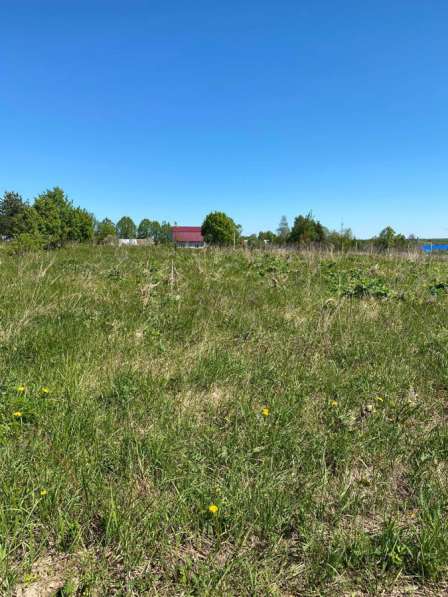 Участок в Москве фото 3