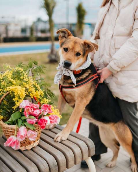 Толстушка ждёт родителей! в Москве фото 7