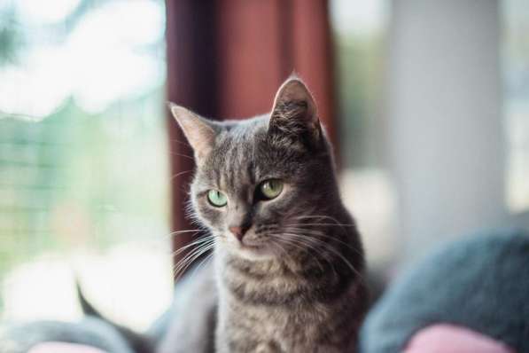 Нежная и ласковая Зоя ищет свою семью в Москве фото 5