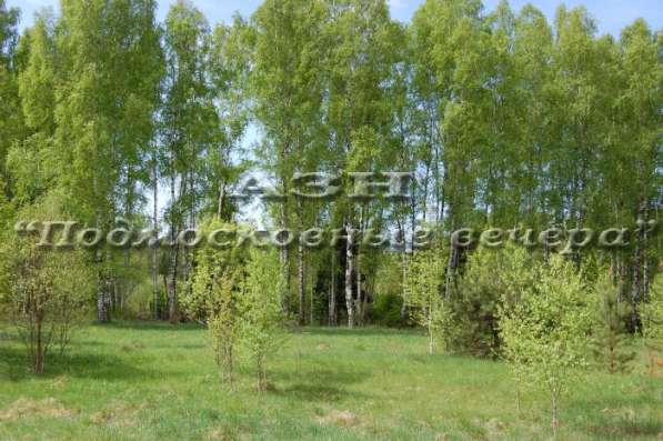 realty_mapper3.plot_in_locationСадовое некоммерческое тов-во. Площадь 20.00 сот.Есть Электричество. в Москве фото 25