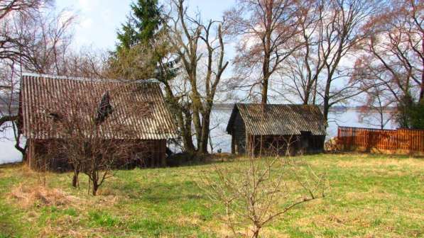 Нацпарк Браславские озера, дом на берегу озера в фото 7