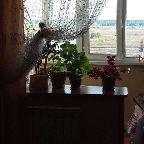 Продам 4 комнатную квартиру в фото 3