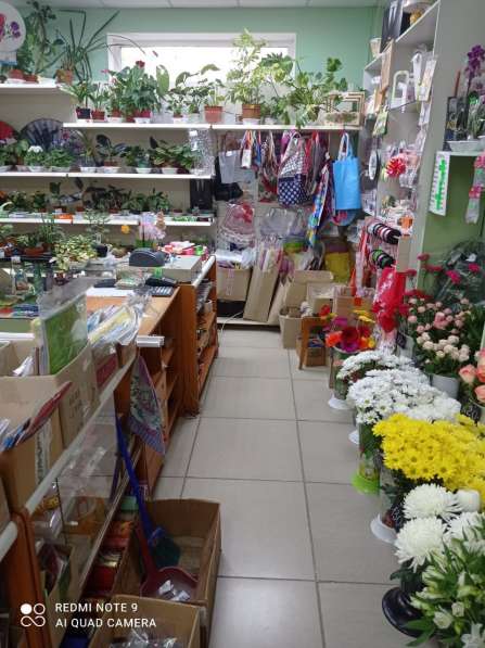 Продам бизнес: Магазин цветов и подарков в Карабаше фото 3