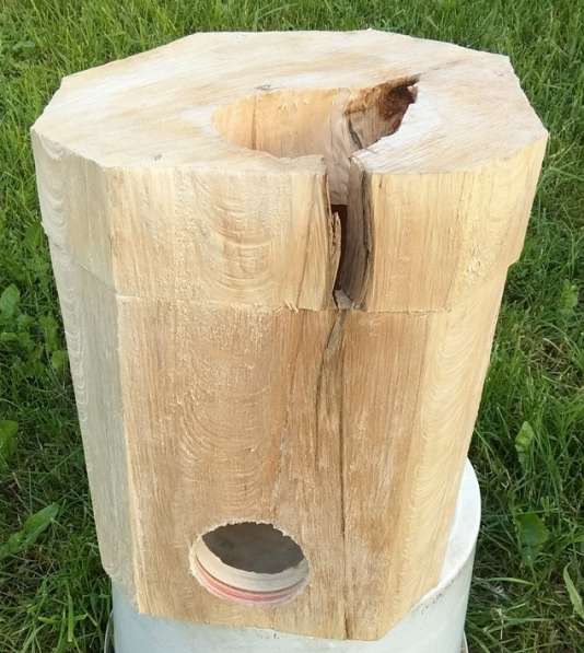 Домик для шиншиллы, дегу в Москве фото 4