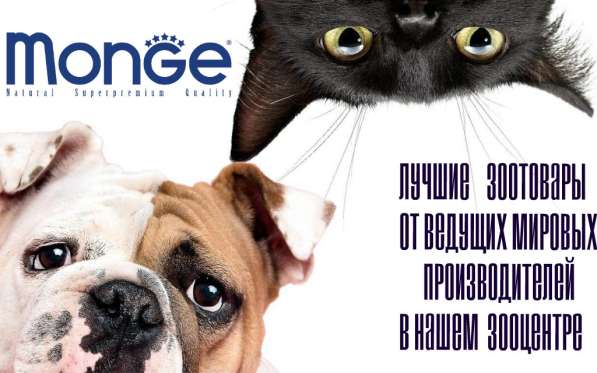 Гостиница для Животных в Реутове фото 4