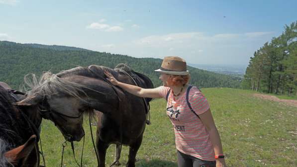 Конная прогулка в Красноярске фото 15