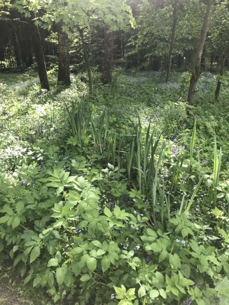 Футболка для мальчика в Москве