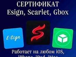 Сертификат Scarlet, Esitn, gbox! в Санкт-Петербурге