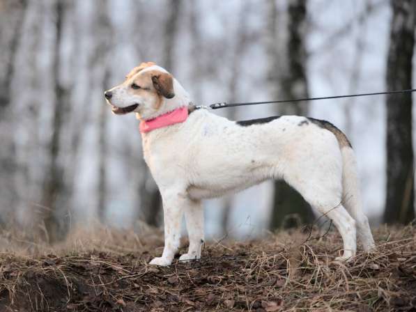 Улыбчивый лучик Фаина ищет семью в Москве фото 24