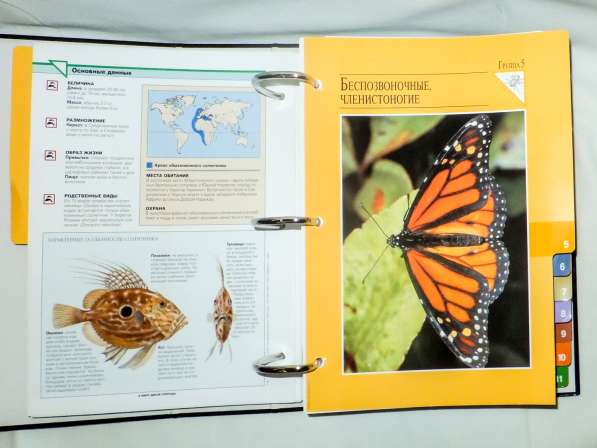 В мире дикой природы, красочная энциклопедия для детей в Нальчике фото 3