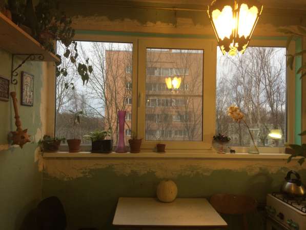 Квартира 30 м у парка рядом с метро, красивый вид из окон! в Санкт-Петербурге фото 8