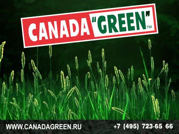 Газон КАНАДА ГРИН в Москве фото 12